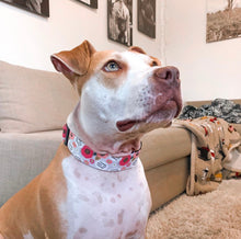 Load image into Gallery viewer, Dog Collar/ Fresh Out of F*cks Dog Collar/ Flower Dog Collar/ Cussing Dog Collar/Fabric Dog Collar