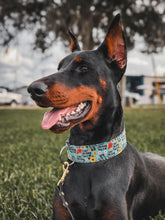 Load image into Gallery viewer, Dog Collar/ Don't F-ing Touch Me Dog Collar/ Cussing Dog Collar/ Swear Dog Collar/ Naughty Dog Collar/ Fabric Dog Collar