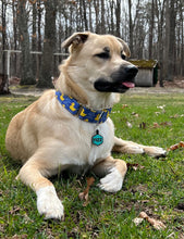 Load image into Gallery viewer, Dog Collar/ Duck Around and Find Out Dog Collar/ Rubber Duck Dog Collar/ Duck Dog Collar/ Spring Dog Collar