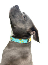 Load image into Gallery viewer, Lemons Fresh Out of F*cks Dog Collar
