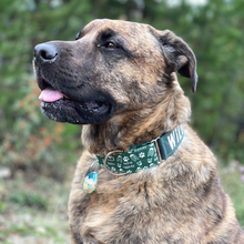 Load image into Gallery viewer, Dog Collar/ Hiking Buddies Dog Collar/ Hiking Dog Collar/ Outdoors Dog Collar/ Green Dog Collar
