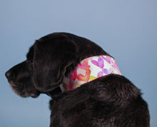 Load image into Gallery viewer, Dog Collar/ Watercolor Hearts Dog Collar/ Valentines Day Dog Collar/ Hearts Dog Collar/ Fabric Dog Collar
