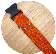 Load image into Gallery viewer, Gold and Rust Pumpkin Dog Collar
