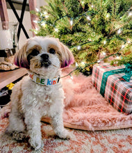 Load image into Gallery viewer, Be Kind Dog Collar
