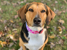 Load image into Gallery viewer, Bright Mermaid Dog Collar
