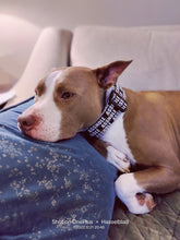 Load image into Gallery viewer, Small Print Asshole Dog Collar
