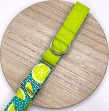 Load image into Gallery viewer, Large Premade Collars
