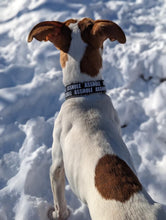 Load image into Gallery viewer, Small Print Asshole Dog Collar
