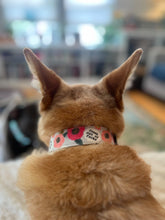 Load image into Gallery viewer, Fresh Out of Fucks Dog Collar
