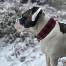 Load image into Gallery viewer, Dog Collar/ Maroon Plaid Dog Collar/ Winter Dog Collar/ Buffalo Plaid Dog Collar/ Fabric Dog Collar
