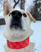 Load image into Gallery viewer, Little F*cker Dog Collar
