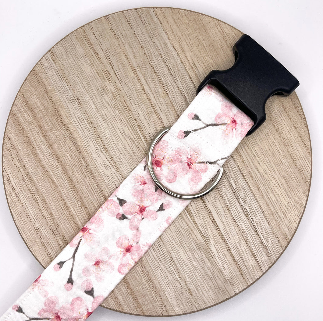 Dog Collar/ Cherry Blossoms Dog Collar/ Pink Flowers Dog Collar/ Pastel Flowers Dog Collar/ Spring Dog Collar