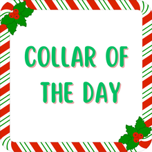 Load image into Gallery viewer, Collar of the Day Dog Collar/ One Day Only Day Dog Collar/ Limited Time Dog Collar/ Fabric Dog Collar
