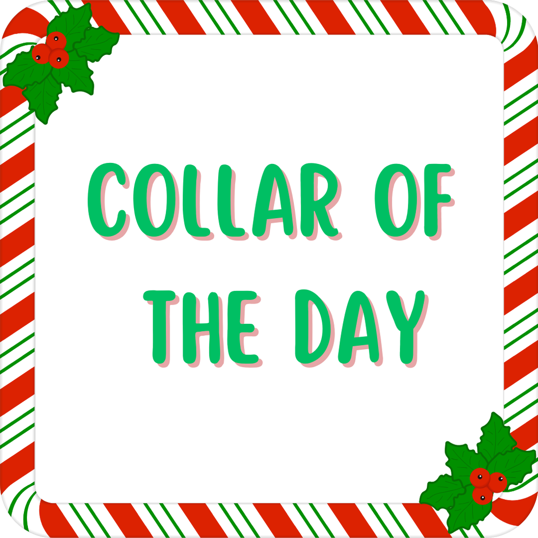 Collar of the Day Dog Collar/ One Day Only Day Dog Collar/ Limited Time Dog Collar/ Fabric Dog Collar