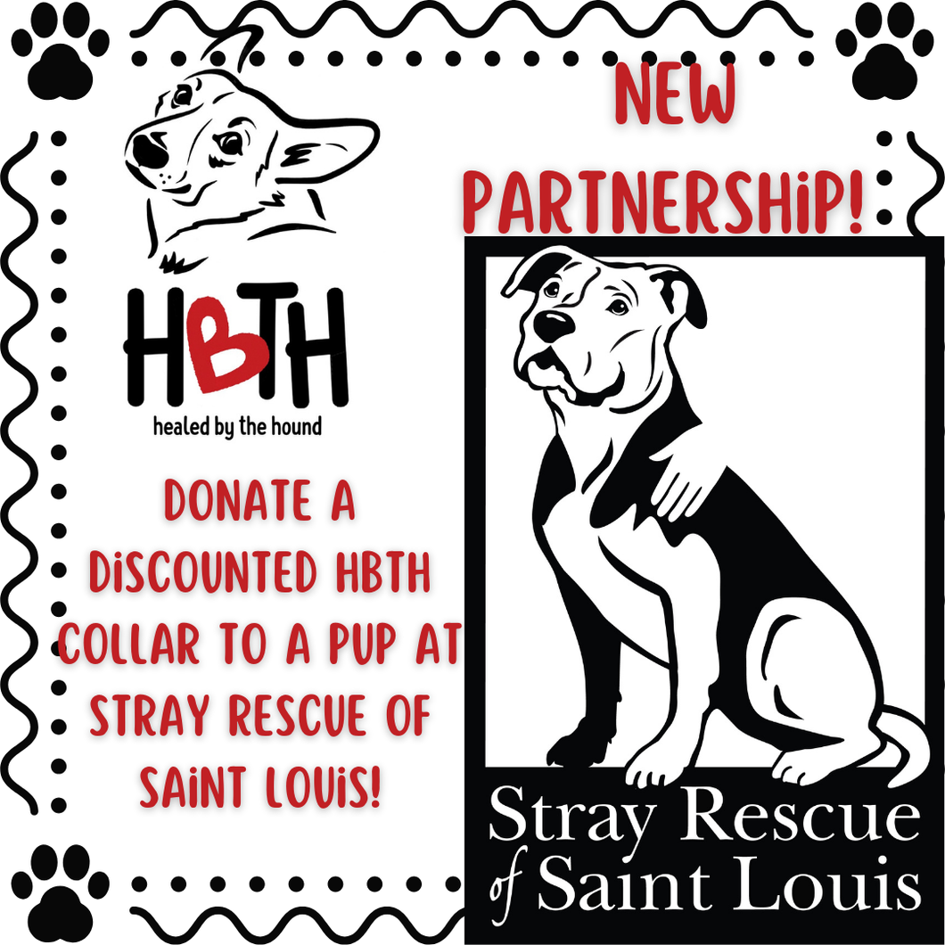 Stray Rescue of St. Louis Donation