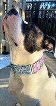 Load image into Gallery viewer, Mix and Match Dog Collar
