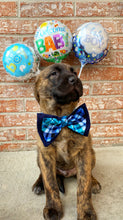 Load image into Gallery viewer, Build Your Own Bowtie
