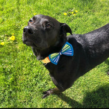 Load image into Gallery viewer, Build Your Own Bowtie

