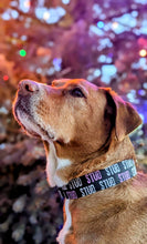 Load image into Gallery viewer, Dog Collar/ Stud Dog Collar/ Valentines Day Dog Collar/ Boy Dog Collar/ Fabric Dog Collar
