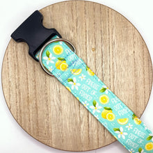 Load image into Gallery viewer, Lemons Fresh Out of F*cks Dog Collar
