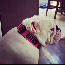 Load image into Gallery viewer, Bitch Large Print Dog Collar
