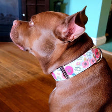 Load image into Gallery viewer, Fresh Out of Fucks Dog Collar
