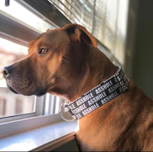 Load image into Gallery viewer, Small Print Asshole Dog Collar
