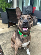 Load image into Gallery viewer, Green Football Dog Collar
