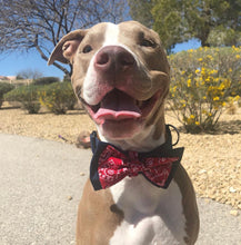Load image into Gallery viewer, Build Your Own Bowtie
