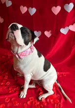 Load image into Gallery viewer, Dog Collar/ Valentines Day Plaid Dog Collar/ Pink Glitter Plaid Dog Collar/ Girlie Dog Collar/ Fabric Dog Collar

