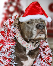 Load image into Gallery viewer, Dog Collar/ Don&#39;t Get Your Tinsel in a Tangle Dog Collar/ Funny Santa Dog Collar/ Funny Holiday Dog Collar/ Santa Face Dog Collar/ Fabric Dog Collar
