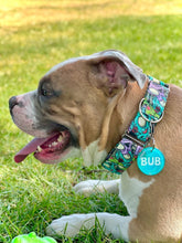Load image into Gallery viewer, Dog Collar/ Large Zombies Dog Collar/ Colorful Zombies Dog Collar/ Halloween Dog Collar/ Scary Dog Collar/ Fabric Dog Collar
