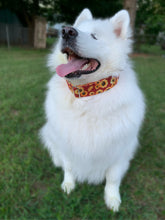 Load image into Gallery viewer, Metallic Sunflowers Dog Collar
