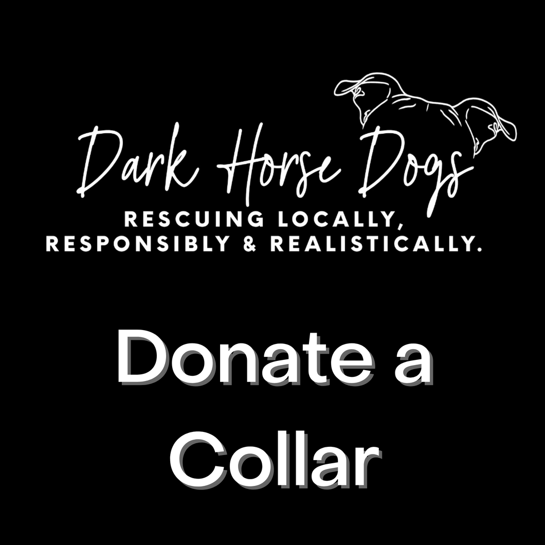 Dark Horse Dogs Collar Donation