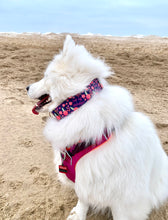 Load image into Gallery viewer, Dog Collar/ F*ck Off Mcf*ckface Dog Collar/ Swear Dog Collar/ Adult Dog Collar/Fabric Dog Collar
