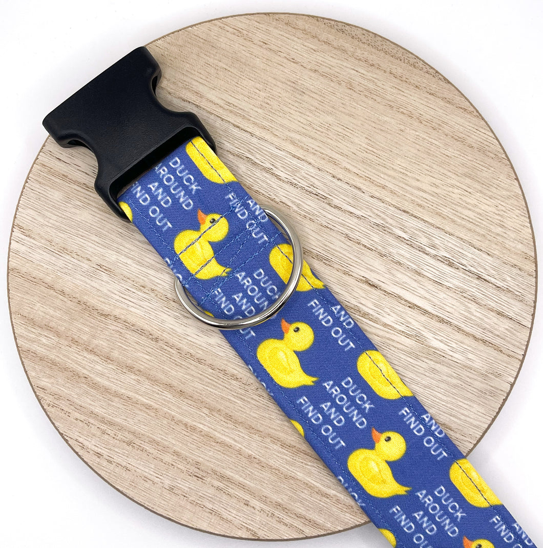 Dog Collar/ Duck Around and Find Out Dog Collar/ Rubber Duck Dog Collar/ Duck Dog Collar/ Spring Dog Collar