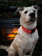 Load image into Gallery viewer, Dog Collar/ Naughty Dog Collar/ Naughty List Dog Collar/ Funny Dog Collar/ Fabric Dog Collar
