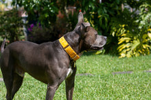 Load image into Gallery viewer, Dog Collar/ Yellow Aztec Dog Collar/ Boho Dog Collar/ Marigold Dog Collar/ Yellow Dog Collar
