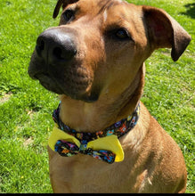 Load image into Gallery viewer, Dog Collar/ Monsters Dog Collar/ Aliens Dog Collar/ Colorful Dog Collar

