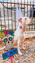 Load image into Gallery viewer, Dog Collar/ Pink Skull Dog Collar/ Skeleton Dog Collar/ Halloween Dog Collar/ Fabric Dog Collar

