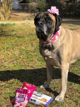 Load image into Gallery viewer, Dog Collar/ Animal Cookie Dog Collar/ Cookie Dog Collar/ Fabric Dog Collar/ Pink Dog Collar
