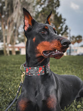 Load image into Gallery viewer, Dog Collar/ I F-ing Hate Everyone Dog Collar/ Cussing Dog Collar/ Swear Dog Collar/ Naughty Dog Collar/ Fabric Dog Collar
