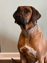 Load image into Gallery viewer, Dog Collar/ Leopard Hearts Dog Collar/ Valentines Dog Collar/ Cheetah Hearts Dog Collar/ Tan and Black Hearts Dog Collar/ Fabric Dog Collar
